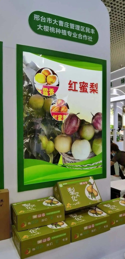 寧晉綠色農(nóng)產(chǎn)品在廈門綠博會(huì)廣受歡迎，水產(chǎn)品零售表現(xiàn)搶眼